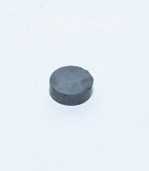 12mm x 4mm Ferrit Kömür Mıknatıs
